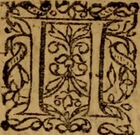 An illustration from Novi Jesu Christi Testamenti novæ editionis : Græco-Latino-Germanicæ interlinearis sive parallelæ, qua ad nobilissimam linguarum Græcam uná cum pietate et verbis æternæ vitæ addiscendam facilis et expedita via sternitur .. (1616)