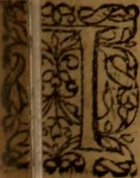 An illustration from Novi Jesu Christi Testamenti novæ editionis : Græco-Latino-Germanicæ interlinearis sive parallelæ, qua ad nobilissimam linguarum Græcam uná cum pietate et verbis æternæ vitæ addiscendam facilis et expedita via sternitur .. (1616)