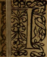 An illustration from Novi Jesu Christi Testamenti novæ editionis : Græco-Latino-Germanicæ interlinearis sive parallelæ, qua ad nobilissimam linguarum Græcam uná cum pietate et verbis æternæ vitæ addiscendam facilis et expedita via sternitur .. (1616)