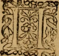 An illustration from Novi Jesu Christi Testamenti novæ editionis : Græco-Latino-Germanicæ interlinearis sive parallelæ, qua ad nobilissimam linguarum Græcam uná cum pietate et verbis æternæ vitæ addiscendam facilis et expedita via sternitur .. (1616)