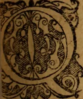 An illustration from Novi Jesu Christi Testamenti novæ editionis : Græco-Latino-Germanicæ interlinearis sive parallelæ, qua ad nobilissimam linguarum Græcam uná cum pietate et verbis æternæ vitæ addiscendam facilis et expedita via sternitur .. (1616)