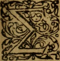 An illustration from Novi Jesu Christi Testamenti novæ editionis : Græco-Latino-Germanicæ interlinearis sive parallelæ, qua ad nobilissimam linguarum Græcam uná cum pietate et verbis æternæ vitæ addiscendam facilis et expedita via sternitur .. (1616)
