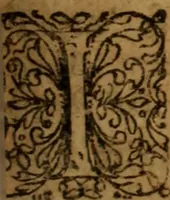 An illustration from Novi Jesu Christi Testamenti novæ editionis : Græco-Latino-Germanicæ interlinearis sive parallelæ, qua ad nobilissimam linguarum Græcam uná cum pietate et verbis æternæ vitæ addiscendam facilis et expedita via sternitur .. (1616)