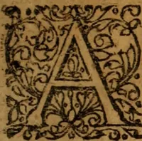 An illustration from Novi Jesu Christi Testamenti novæ editionis : Græco-Latino-Germanicæ interlinearis sive parallelæ, qua ad nobilissimam linguarum Græcam uná cum pietate et verbis æternæ vitæ addiscendam facilis et expedita via sternitur .. (1616)