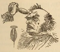 An illustration from Novo manual do prestigiador (1870)