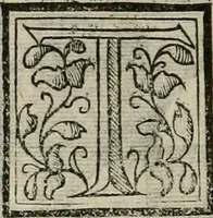 An illustration from Novo teatro di machine et edificii per uarie et sicure operationi : co[n] le loro figure tagliate in rame é la dichiaratione, e dimostratione di ciascuna : opera necesaria ad architetti, e a quelli, ch[e] di tale studio si dilettano (1607)