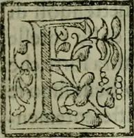 An illustration from Novo teatro di machine et edificii per uarie et sicure operationi : co[n] le loro figure tagliate in rame é la dichiaratione, e dimostratione di ciascuna : opera necesaria ad architetti, e a quelli, ch[e] di tale studio si dilettano (1607)