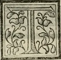 An illustration from Novo teatro di machine et edificii per uarie et sicure operationi : co[n] le loro figure tagliate in rame é la dichiaratione, e dimostratione di ciascuna : opera necesaria ad architetti, e a quelli, ch[e] di tale studio si dilettano (1607)