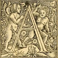 An illustration from Novum Testamentum omne, multo quàm antehac diligentius ab Erasmo Roterodamo recognitu, emedatum ac translatum ... : uná cu annotationibus recognitis, ac magna accessione locupletatis ... (1519)