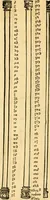 An illustration from Novum Testamentum omne, multo quàm antehac diligentius ab Erasmo Roterodamo recognitu, emedatum ac translatum ... : uná cu annotationibus recognitis, ac magna accessione locupletatis ... (1519)