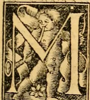 An illustration from Novum Testamentum omne, multo quàm antehac diligentius ab Erasmo Roterodamo recognitu, emedatum ac translatum ... : uná cu annotationibus recognitis, ac magna accessione locupletatis ... (1519)