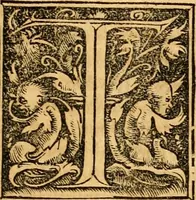 An illustration from Novum Testamentum omne, multo quàm antehac diligentius ab Erasmo Roterodamo recognitu, emedatum ac translatum ... : uná cu annotationibus recognitis, ac magna accessione locupletatis ... (1519)