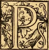 An illustration from Novum Testamentum omne, multo quàm antehac diligentius ab Erasmo Roterodamo recognitu, emedatum ac translatum ... : uná cu annotationibus recognitis, ac magna accessione locupletatis ... (1519)