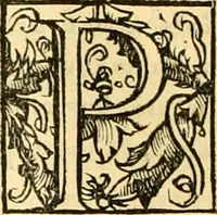 An illustration from Novum Testamentum omne, multo quàm antehac diligentius ab Erasmo Roterodamo recognitu, emedatum ac translatum ... : uná cu annotationibus recognitis, ac magna accessione locupletatis ... (1519)
