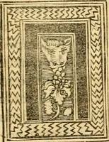 Picture 53 of 78 from Novum Testamentum omne, multo quàm antehac diligentius ab Erasmo Roterodamo recognitu, emedatum ac translatum ... : uná cu annotationibus recognitis, ac magna accessione locupletatis ... (1519), leaf 562