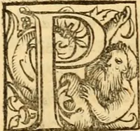 An illustration from Novum Testamentum omne, multo quàm antehac diligentius ab Erasmo Roterodamo recognitu, emedatum ac translatum ... : uná cu annotationibus recognitis, ac magna accessione locupletatis ... (1519)