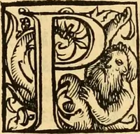 An illustration from Novum Testamentum omne, multo quàm antehac diligentius ab Erasmo Roterodamo recognitu, emedatum ac translatum ... : uná cu annotationibus recognitis, ac magna accessione locupletatis ... (1519)