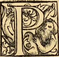 An illustration from Novum Testamentum omne, multo quàm antehac diligentius ab Erasmo Roterodamo recognitu, emedatum ac translatum ... : uná cu annotationibus recognitis, ac magna accessione locupletatis ... (1519)