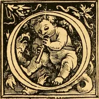 An illustration from Novum Testamentum omne, multo quàm antehac diligentius ab Erasmo Roterodamo recognitu, emedatum ac translatum ... : uná cu annotationibus recognitis, ac magna accessione locupletatis ... (1519)
