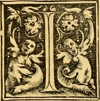 An illustration from Novum Testamentum omne, multo quàm antehac diligentius ab Erasmo Roterodamo recognitu, emedatum ac translatum ... : uná cu annotationibus recognitis, ac magna accessione locupletatis ... (1519)