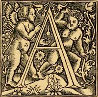 Picture 78 of 78 from Novum Testamentum omne, multo quàm antehac diligentius ab Erasmo Roterodamo recognitu, emedatum ac translatum ... : uná cu annotationibus recognitis, ac magna accessione locupletatis ... (1519), leaf 654