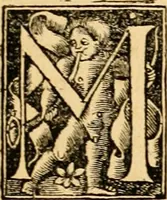 An illustration from Novum Testamentum omne, multo quàm antehac diligentius ab Erasmo Roterodamo recognitu, emedatum ac translatum ... : uná cu annotationibus recognitis, ac magna accessione locupletatis ... (1519)