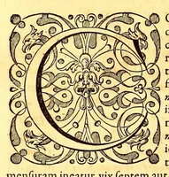 Picture 9 of 24 from Novus orbis seu Descriptionis Indiae Occidentalis, libri XVIII. (1633), leaf 312