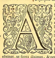 An illustration from Novus orbis seu Descriptionis Indiae Occidentalis, libri XVIII. (1633)