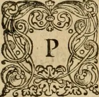 An illustration from Novus Orbis, sive, Descriptio Indiae Occidentalis (1622)