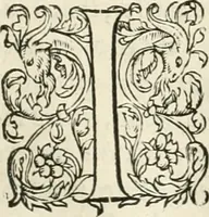 An illustration from Novvelles inventions povr bien bastir et a petits fraiz (1561)