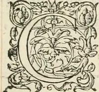 An illustration from Novvelles inventions povr bien bastir et a petits fraiz (1561)
