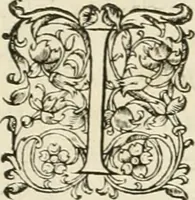 An illustration from Novvelles inventions povr bien bastir et a petits fraiz (1561)