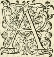 An illustration from Novvelles inventions povr bien bastir et a petits fraiz (1561)