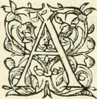 An illustration from Novvelles inventions povr bien bastir et a petits fraiz (1561)