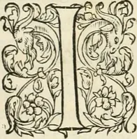 An illustration from Novvelles inventions povr bien bastir et a petits fraiz (1561)