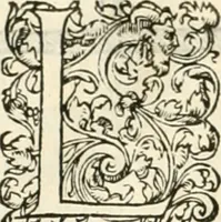 An illustration from Novvelles inventions povr bien bastir et a petits fraiz (1561)