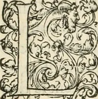 An illustration from Novvelles inventions povr bien bastir et a petits fraiz (1561)