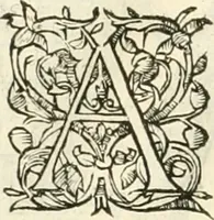 An illustration from Novvelles inventions povr bien bastir et a petits fraiz (1561)