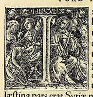 Picture 5 of 11 from Novvs Orbis regionvm ac insvlarvm veteribvs incognitarvm, unà cum tabula cosmographica, & aliquot alijs consimilis argumenti libellis (1532), leaf 300