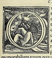 An illustration from Novvs Orbis regionvm ac insvlarvm veteribvs incognitarvm, unà cum tabula cosmographica, & aliquot alijs consimilis argumenti libellis (1532)