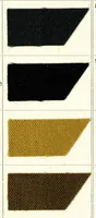 An illustration from Nuances saison = Fashionable shades (1890)