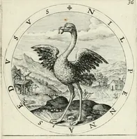 Picture 42 of 109 from Nucleus emblematum selectissimorum : quae Itali vulgo impresas vocant : priuata industria, studio singulari, vndiq[ue] conquisitus, non paucis venustis inuentionibus auctus, additis carminib[us] illustratus (1611), leaf 124