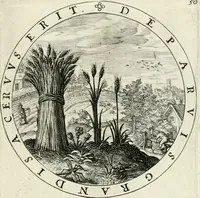 Picture 58 of 109 from Nucleus emblematum selectissimorum : quae Itali vulgo impresas vocant : priuata industria, studio singulari, vndiq[ue] conquisitus, non paucis venustis inuentionibus auctus, additis carminib[us] illustratus (1611), leaf 152