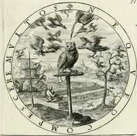 Picture 59 of 109 from Nucleus emblematum selectissimorum : quae Itali vulgo impresas vocant : priuata industria, studio singulari, vndiq[ue] conquisitus, non paucis venustis inuentionibus auctus, additis carminib[us] illustratus (1611), leaf 154