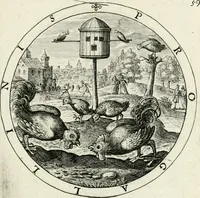 Picture 67 of 109 from Nucleus emblematum selectissimorum : quae Itali vulgo impresas vocant : priuata industria, studio singulari, vndiq[ue] conquisitus, non paucis venustis inuentionibus auctus, additis carminib[us] illustratus (1611), leaf 170