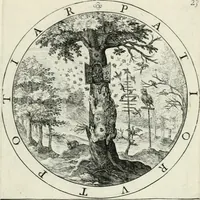 Picture 29 of 109 from Nucleus emblematum selectissimorum : quae Itali vulgo impresas vocant : priuata industria, studio singulari, vndiq[ue] conquisitus, non paucis venustis inuentionibus auctus, additis carminib[us] illustratus (1611), leaf 98