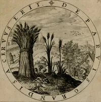 Picture 54 of 103 from Nucleus emblematum selectissimorum : quae Itali vulgo impresas vocant priuata industria studio singulari, vndiq[e] conquisitus, non paucis venustis inuentionibus auctus, additis carminib[us] illustratus (1611), leaf 112