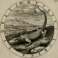 An illustration from Nucleus emblematum selectissimorum : quae Itali vulgo impresas vocant priuata industria studio singulari, vndiq[e] conquisitus, non paucis venustis inuentionibus auctus, additis carminib[us] illustratus (1611)