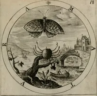 Picture 21 of 103 from Nucleus emblematum selectissimorum : quae Itali vulgo impresas vocant priuata industria studio singulari, vndiq[e] conquisitus, non paucis venustis inuentionibus auctus, additis carminib[us] illustratus (1611), leaf 48