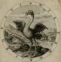 Picture 39 of 103 from Nucleus emblematum selectissimorum : quae Itali vulgo impresas vocant priuata industria studio singulari, vndiq[e] conquisitus, non paucis venustis inuentionibus auctus, additis carminib[us] illustratus (1611), leaf 84